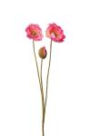 Valmue - Rosa - 75 cm - www.frokenfraken.se