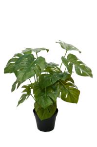 Monstera - Grønn - 30 cm - www.frokenfraken.se