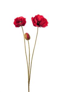 Valmue - Rød - 75 cm - www.frokenfraken.se