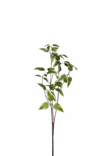 Kvist - Grønn - 63 cm - www.frokenfraken.se