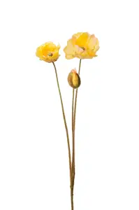 Valmue - Gul - 75 cm - www.frokenfraken.se