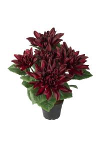 Dahlia - Rød - 30 cm - www.frokenfraken.se