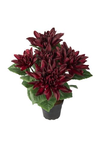 Dahlia - Rød - 30 cm - www.frokenfraken.se