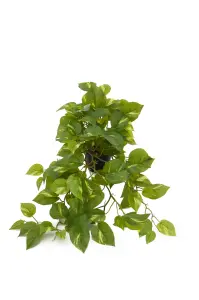 Gullranka - Grønn - 50 cm - www.frokenfraken.se