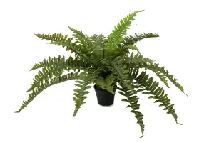 Bregne - Grønn - 35 cm - www.frokenfraken.se