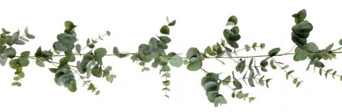 Eukalyptus girlang - Grønn - 190 cm - www.frokenfraken.se