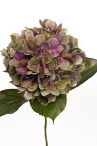 Hortensia - Lilla - 65 cm - www.frokenfraken.se