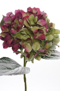 Hortensia - Rød - 65 cm - www.frokenfraken.se