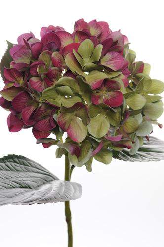 Hortensia - Rød - 65 cm - www.frokenfraken.se