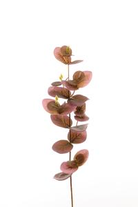Eukalyptus - Lilla - 40 cm - www.frokenfraken.se