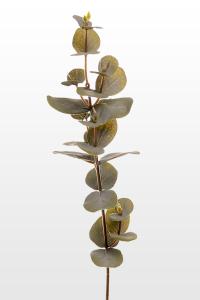 Eukalyptus - Grønn - 40 cm - www.frokenfraken.se