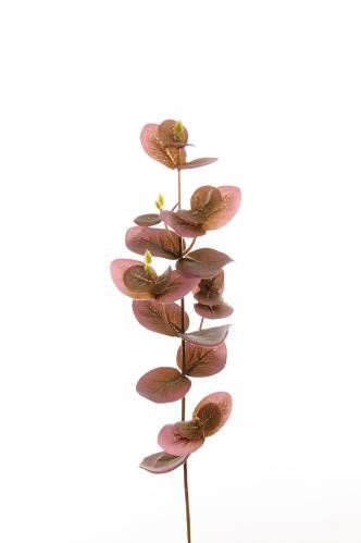 Eukalyptus - Lilla - 40 cm - www.frokenfraken.se