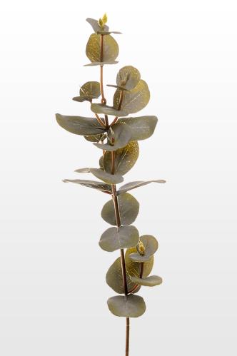 Eukalyptus - Grønn - 40 cm - www.frokenfraken.se