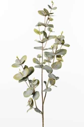 Eukalyptus - Grønn - 70 cm - www.frokenfraken.se