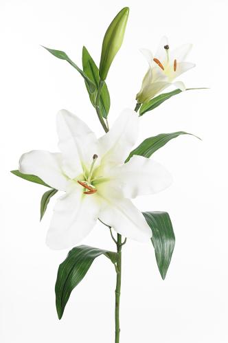 Lilja - Hvit - 70 cm - www.frokenfraken.se