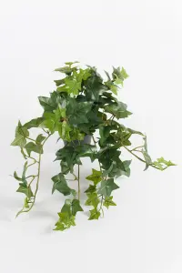 Eføy - Grønn - 25 cm - www.frokenfraken.se