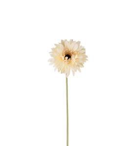Gerbera - Hvit - 58 cm - www.frokenfraken.se