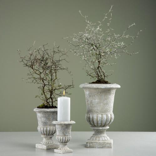 Krukke - Grå Pokal - 30cm - www.frokenfraken.se