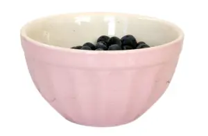 Müsliskål - Mynte English Rose - 6-pakning - www.frokenfraken.se