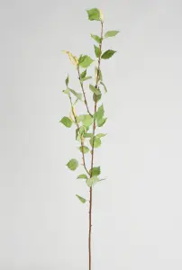 Björk - Kunstig kvist - 92 cm - www.frokenfraken.se