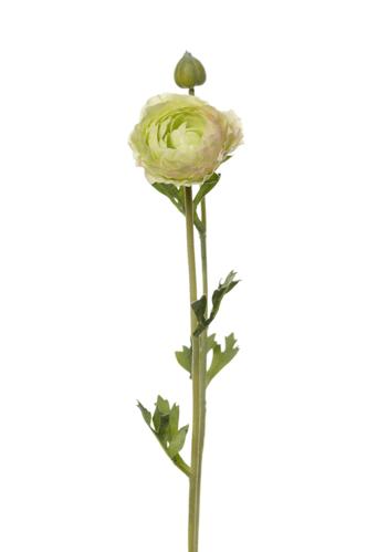 Ranunculus - Grønn - 36 cm - www.frokenfraken.se
