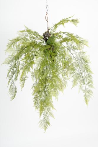 Ormbunke - Grønn - 110 cm - www.frokenfraken.se