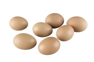Egg - Hønseegg - Dekorasjon - Brun/beige - www.frokenfraken.se