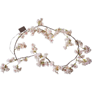 Lyslenke - Kirsebærblomster - Innendørs - 180 cm - www.frokenfraken.se
