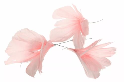 Fjær - Fjærblomster på tråd - Lyserosa - 12-pakning - www.frokenfraken.se