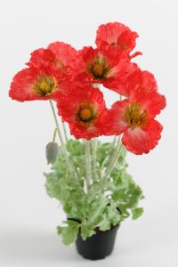 Valmue - Rød - 40 cm - www.frokenfraken.se