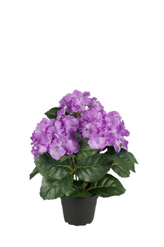 Hortensia - Lilla - 30 cm - www.frokenfraken.se