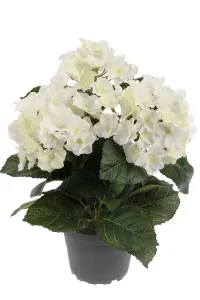 Hortensia - Hvit - 30 cm - www.frokenfraken.se