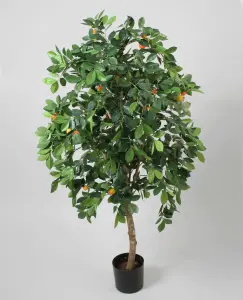 Citrustrær - 90 cm - www.frokenfraken.se