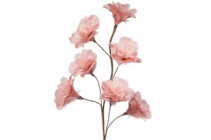 Kvist - Fjærblomst - Gammelrosa - 100 cm - www.frokenfraken.se
