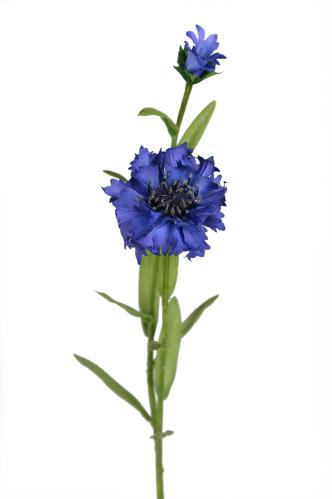 Kornblomst - Blå - 58 cm - www.frokenfraken.se