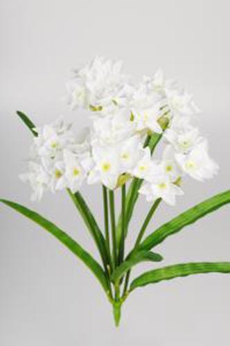 Narciss - Hvit - 43 cm - www.frokenfraken.se