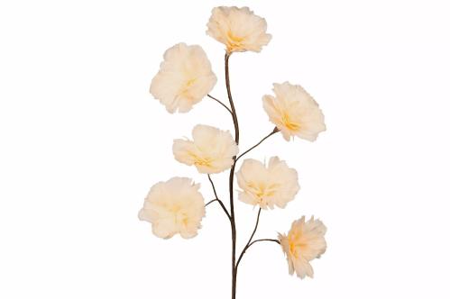 Kvist - Fjærblomst - Aprikos - 100 cm - www.frokenfraken.se