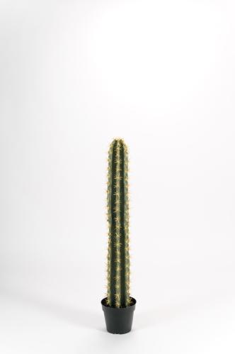 Kaktus - Grønn - 98 cm - www.frokenfraken.se