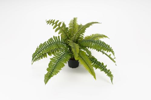 Bregne - Grønn - 30 cm - www.frokenfraken.se