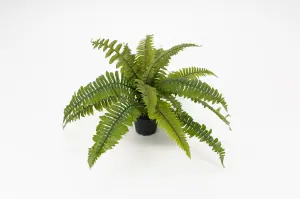 Bregne - Grønn - 30 cm - www.frokenfraken.se