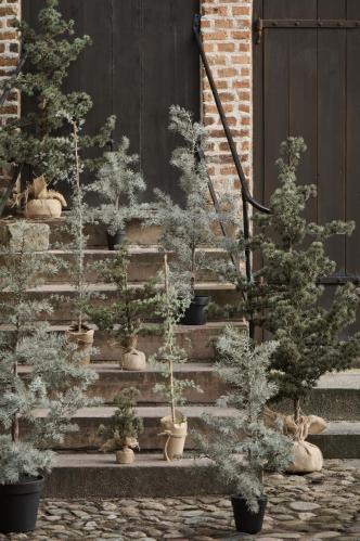 Lerketre Naturtro - 80 cm - www.frokenfraken.se