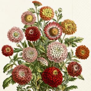 Serviett - Oransje - 33 x 33 cm - www.frokenfraken.se