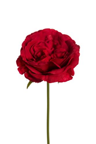 Rose - Rød - 25 cm - www.frokenfraken.se