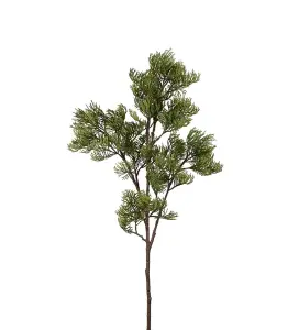 Cypresskvist - Grønn - 100 cm - www.frokenfraken.se