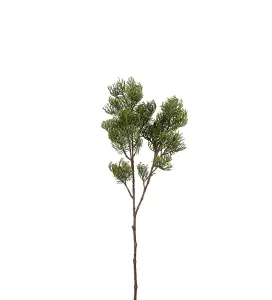 Cypresskvist - Grønn - 75 cm - www.frokenfraken.se