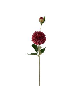 Dahlia - Burgunder - 66 cm - www.frokenfraken.se