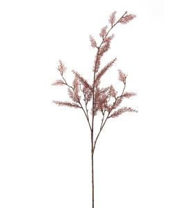 Eukalyptus - Brun - 95 cm - www.frokenfraken.se