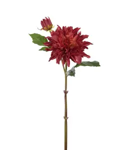 Dahlia - Rød - 70 cm - www.frokenfraken.se