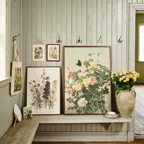 Plakat - Vintage - Rosenbusk - 70 x 100 cm - www.frokenfraken.se