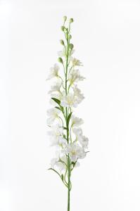 Ridderspore - Hvit - 90 cm - www.frokenfraken.se